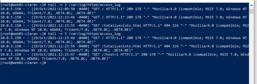 Apache access log showing successful GET requests with status 200 and a missing totallyexists.html request with status 404