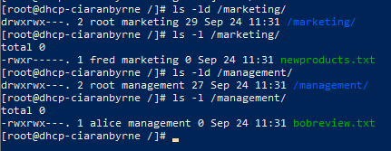 Linux terminal output showing marketing and management directories with group ownership and mode 770, plus group-owned text files