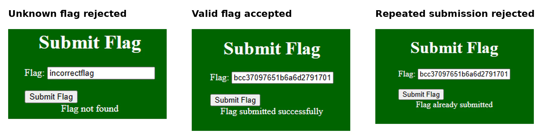 Flag submission validation showing unknown, accepted and repeated outcomes