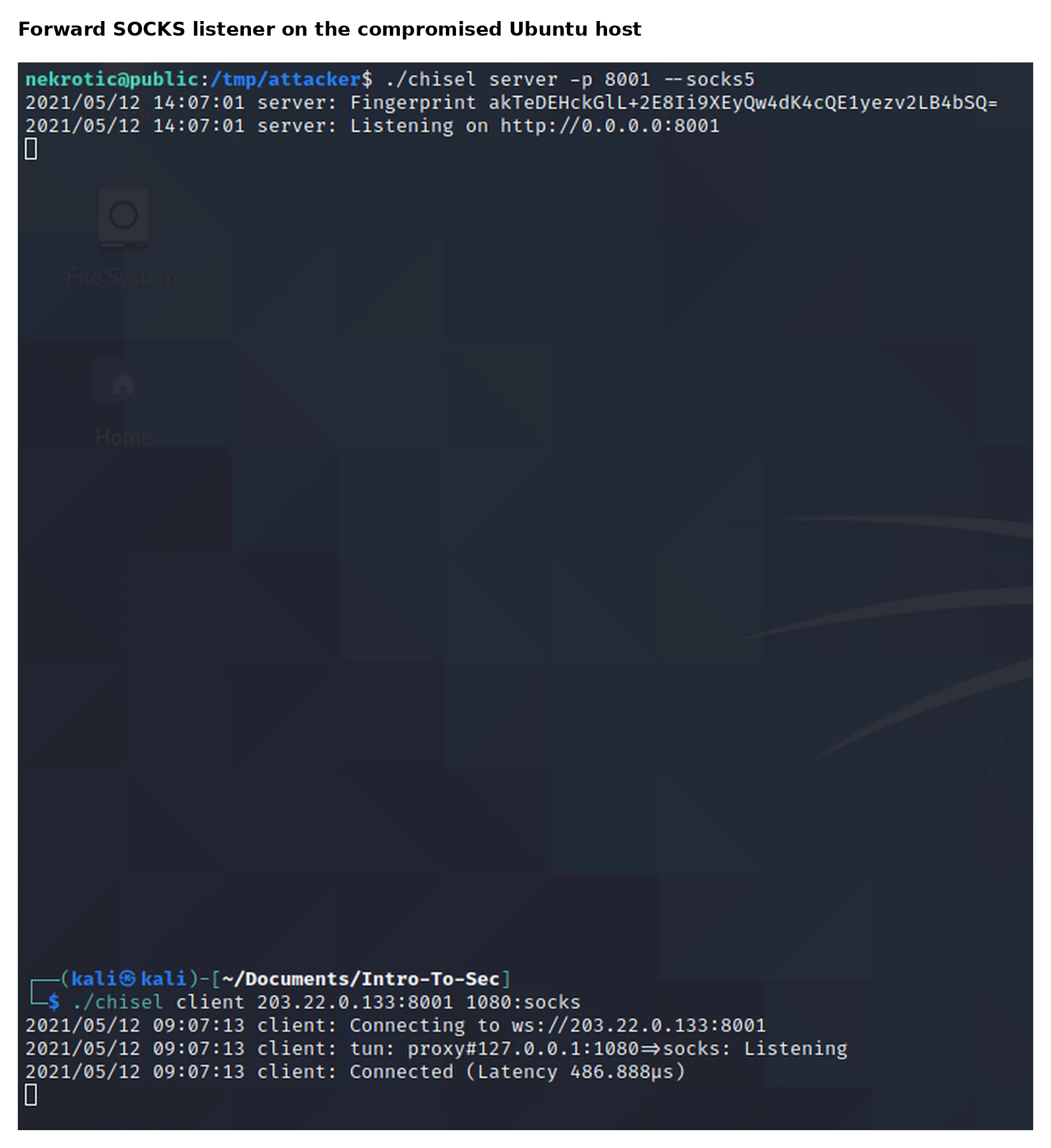 Chisel forward SOCKS listener on the Ubuntu host