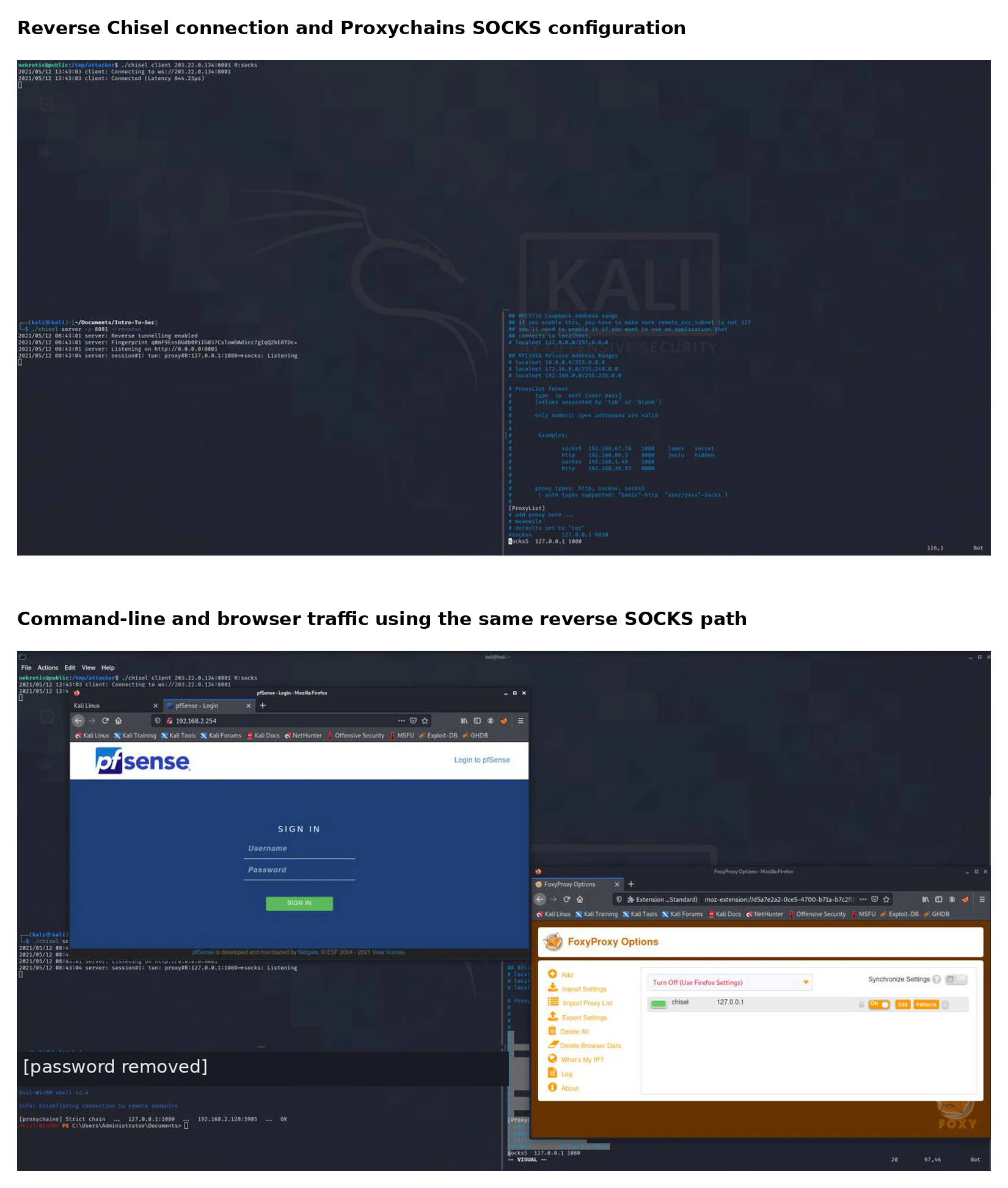 Chisel reverse SOCKS connection used by Proxychains and FoxyProxy