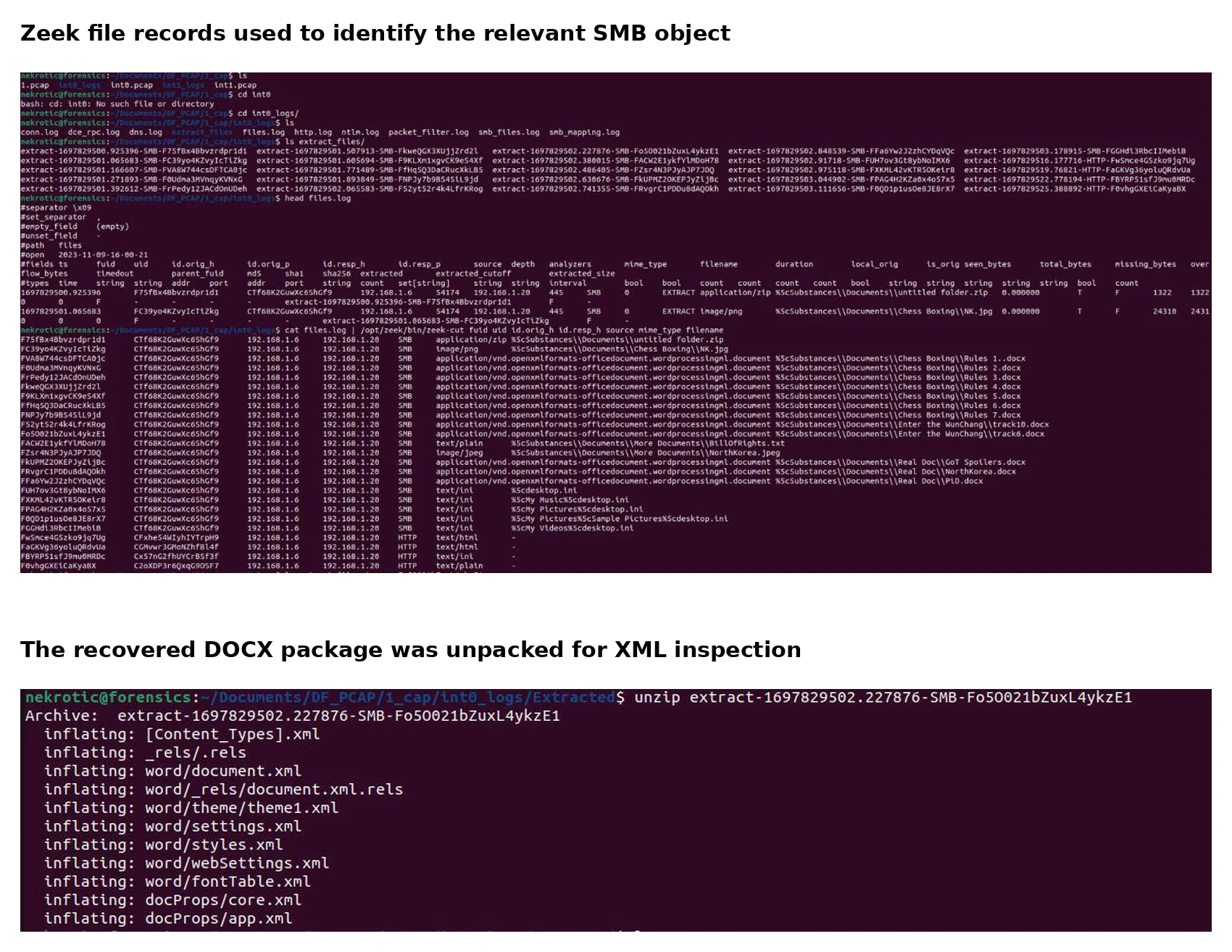 Zeek file metadata and extraction of the track6 DOCX package