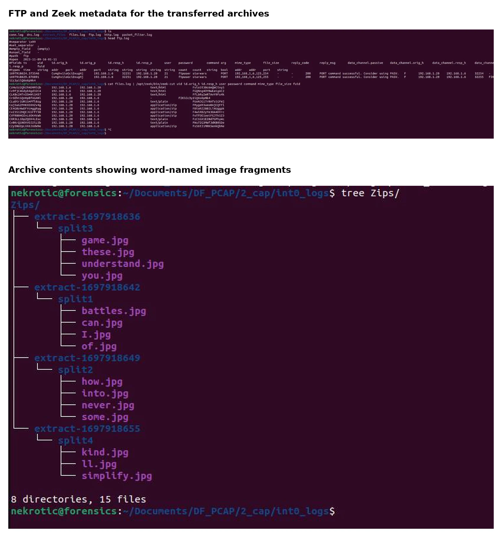 FTP file metadata and extracted word-named image fragments