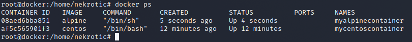 Docker ps output showing Alpine and CentOS containers running together
