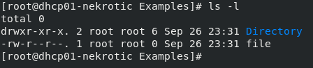 Linux ls -l permissions output
