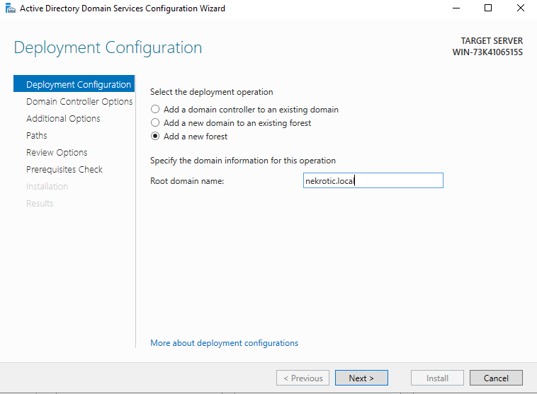 Active Directory Domain Services Configuration Wizard set to add a new forest named nekrotic.local