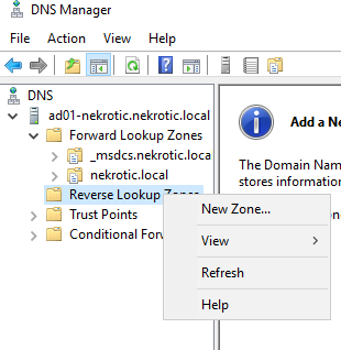 DNS Manager showing the nekrotic.local forward zone and a reverse lookup zone for the private lab network