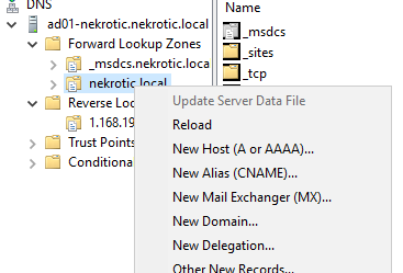 DNS host record configuration in the nekrotic.local zone